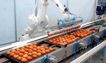 food_industry
